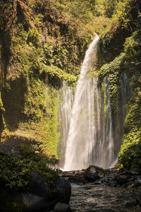 Scenic view of waterfall in forest