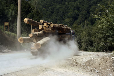 Truck transporting cut tree trunks, wood industry in romania