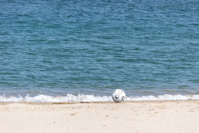 Scenic view of beach