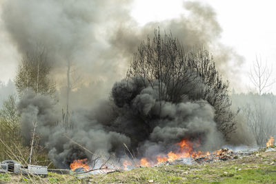 Trees are burning. fire in nature. burning garbage dump. damage to environment. 