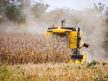 Scenic view of agricultural field