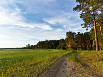 Scenic view of field against sky