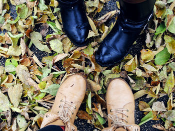 Low section of man standing on dry leaves