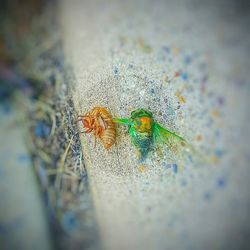 Close-up of multi colored wall