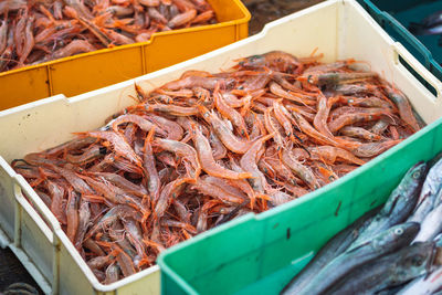 Freshly just caught shrimps and other fish in plastic crates on a fishing boat ready to be sold