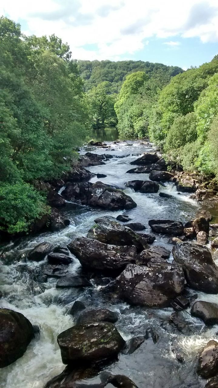 water, stream, flowing water, tree, rock - object, scenics, flowing, beauty in nature, tranquil scene, nature, tranquility, river, forest, sky, non-urban scene, motion, idyllic, day, outdoors, landscape