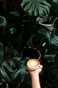 Close-up of hand holding coffee cup