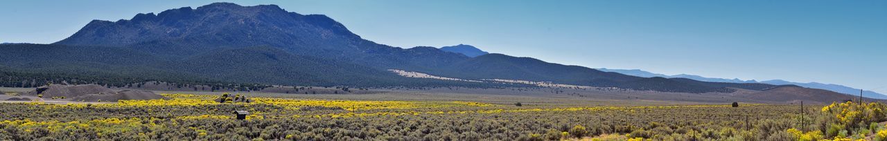 Scenic view of field and mountains against sky