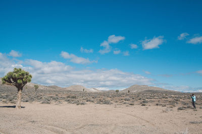 Scenic view of desert against blue sky