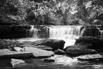 Scenic view of waterfall in forest