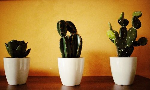 Close-up of vase on table