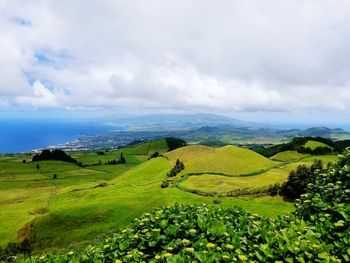 Scenic view of agricultural landscape against sky