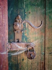 Close-up of an animal representation on metal door