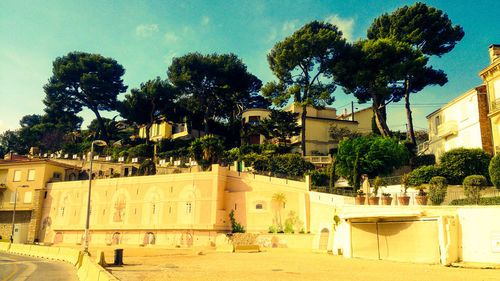 Palm trees and buildings against sky