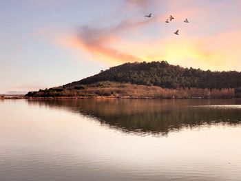 Birds flying over lake against sky during sunset