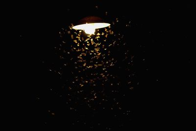 Low angle view of illuminated lights against sky at night