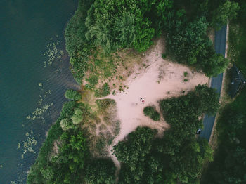 High angle view of trees by sea against sky