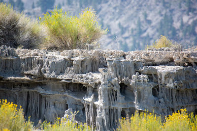 Panoramic shot of rocks on land