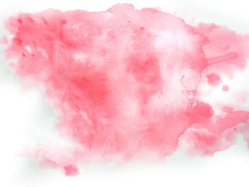 Close-up of pink petals against white background