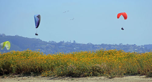 Hot air balloons flying in sky