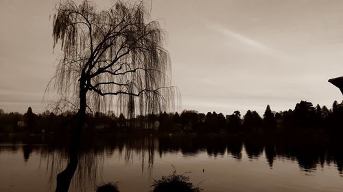 Silhouette trees by lake against sky