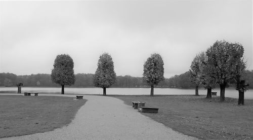 Park bench by trees against sky