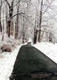 Road amidst bare trees in forest during winter