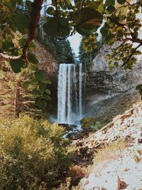 Scenic view of waterfall in forest