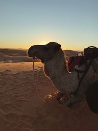 Scenic view of sand against sky during sunset