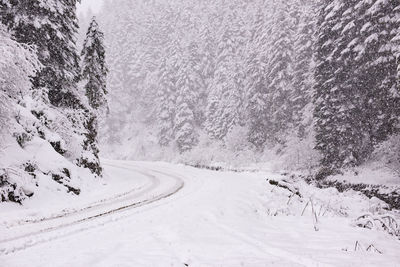 Scenic view of snow covered land