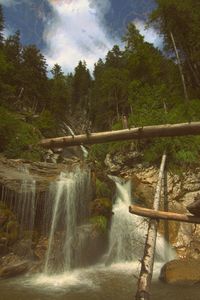 River flowing through forest