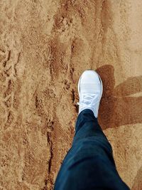 Low section of man standing on sand
