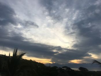 Low angle view of silhouette trees against sky