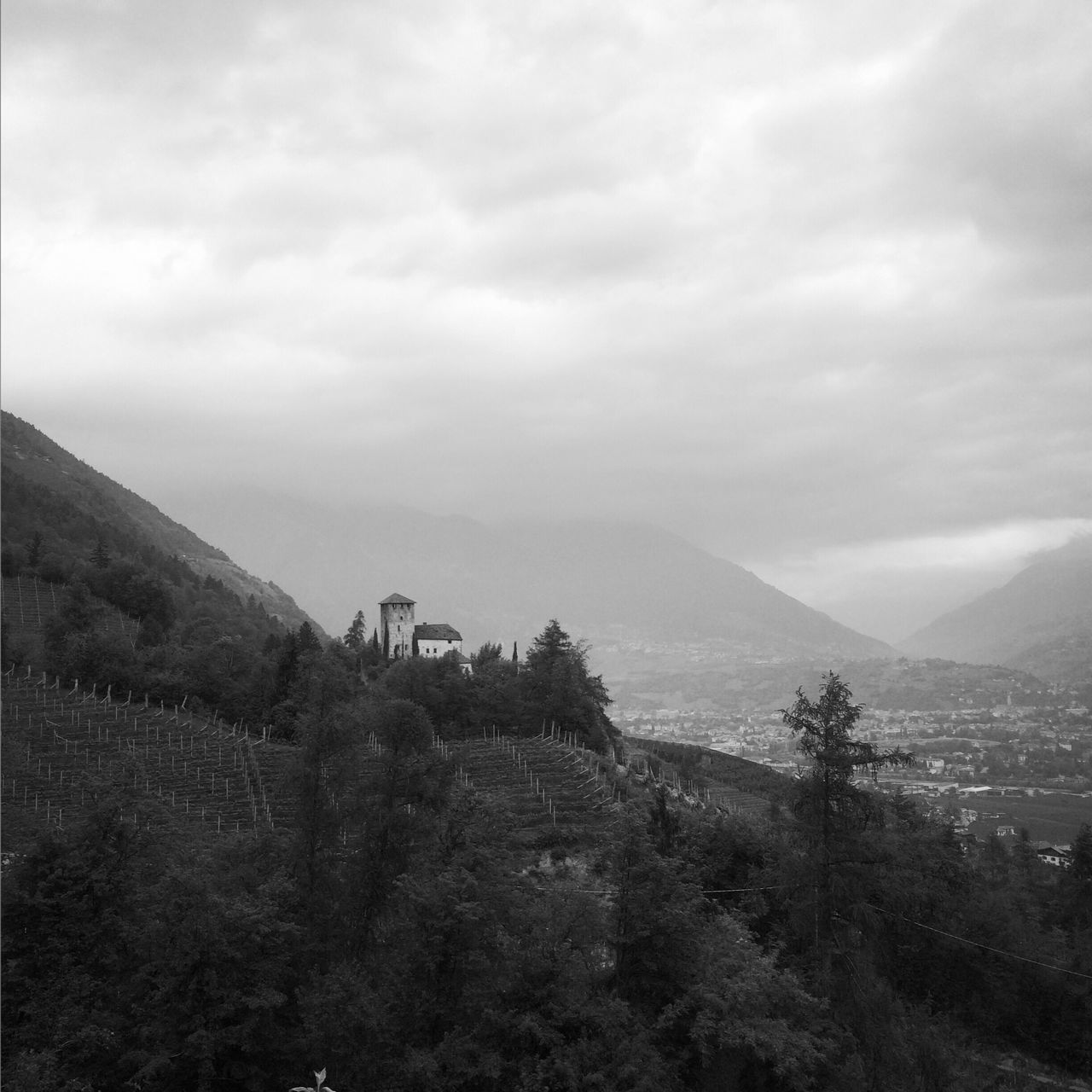 mountain, sky, nature, beauty in nature, growth, landscape, scenics, plant, tree, cloud - sky, tranquility, tranquil scene, no people, outdoors, day