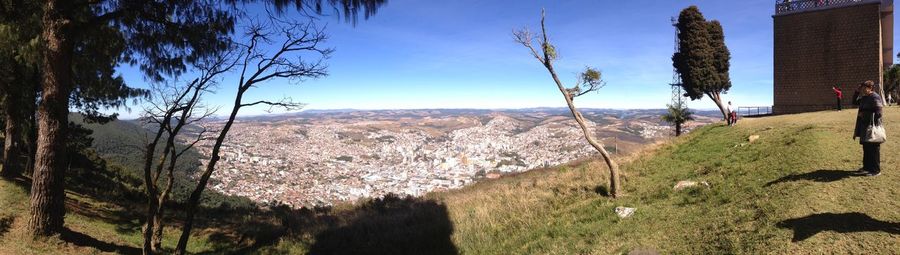 Panoramic shot of trees on landscape against sky