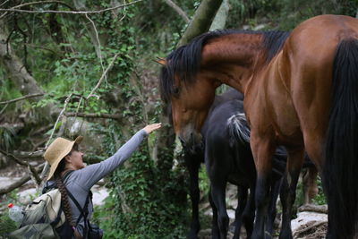 Woman reaching horses in forest