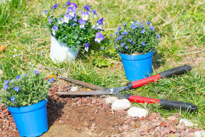 High angle view of potted flowers and hedge clipper in garden