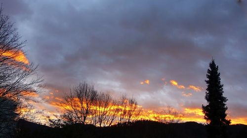 Low angle view of silhouette trees against dramatic sky