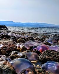 Rocks in sea against sky