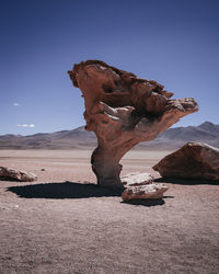 Driftwood on land against blue sky during sunny day