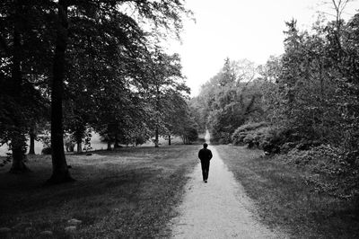 Rear view of people walking on road