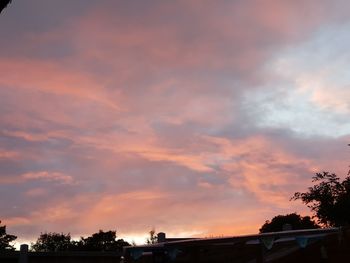 Low angle view of silhouette trees against orange sky