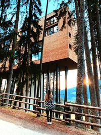 Rear view of woman standing by railing against trees