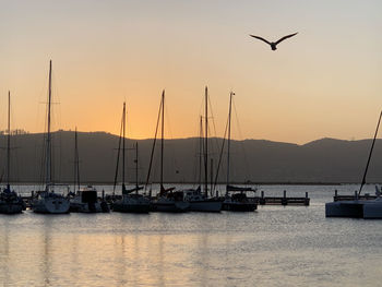 Sailboats in sea at sunset