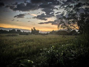 Scenic view of field against sky during sunset