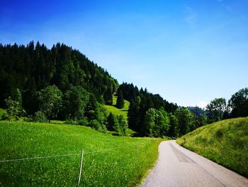 Road amidst trees on field against clear blue sky