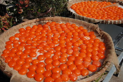 High angle view of orange