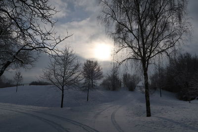 Bare trees on snow covered landscape