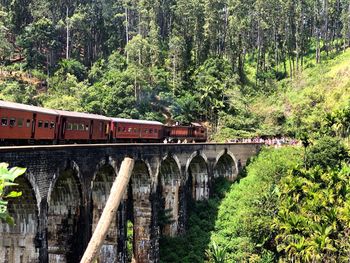 Train on bridge in forest