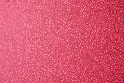 Full frame shot of wet pink wall